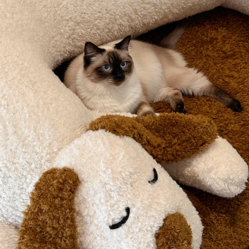 Buddy Sofa - Image 3