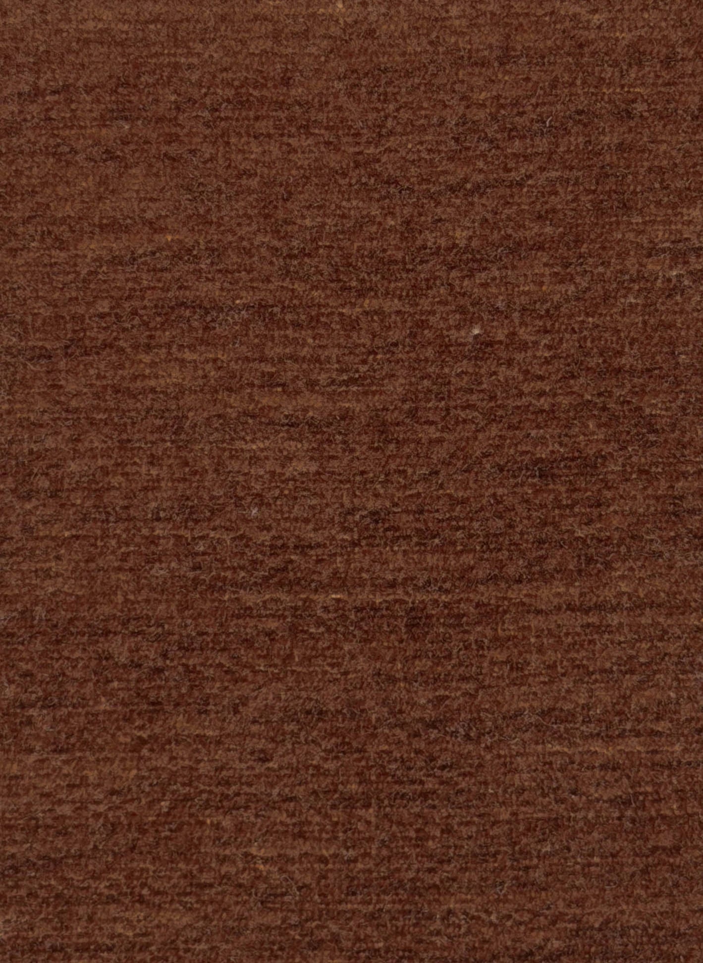 Plush Chenille - Image 13